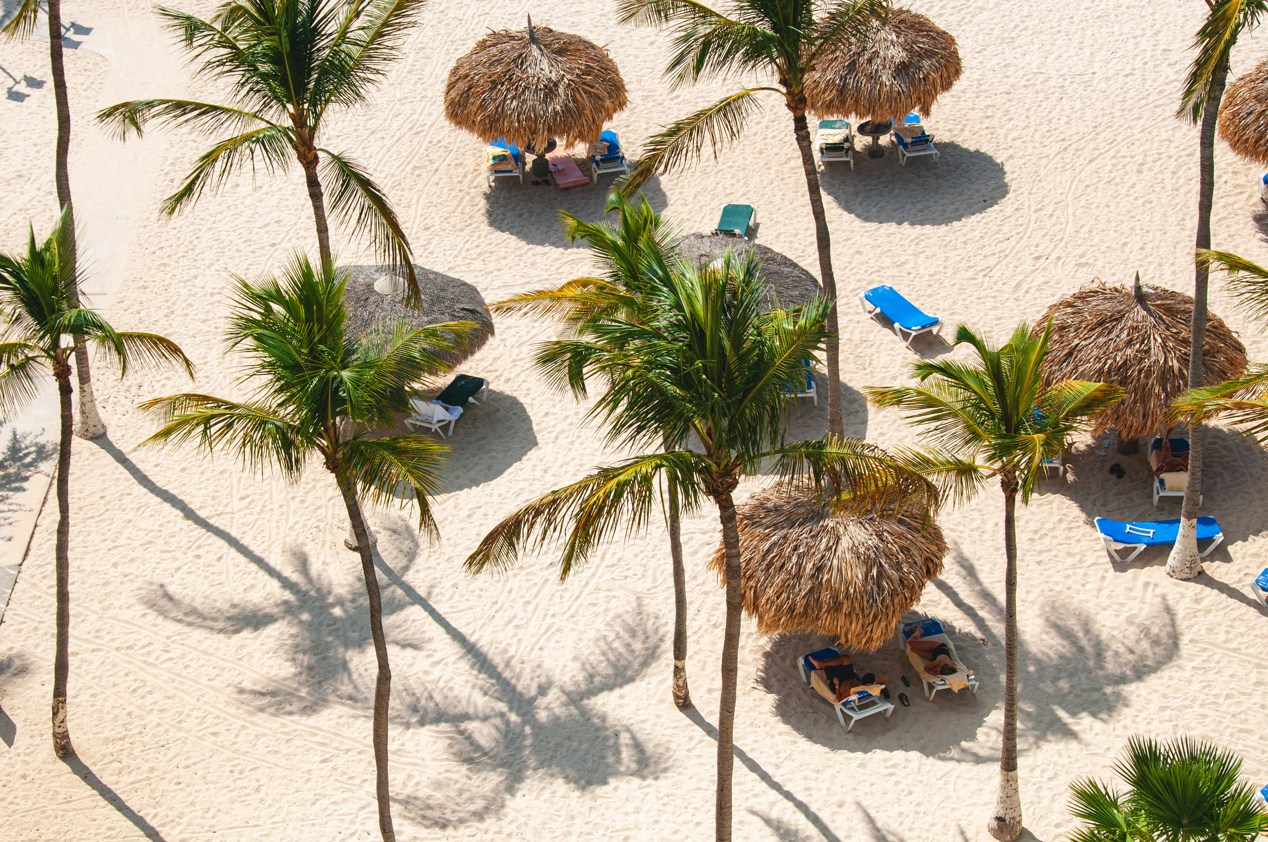 a group of palm trees and umbrellas on a beach