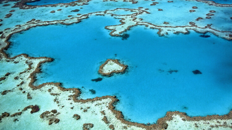 an aerial view of a blue ocean