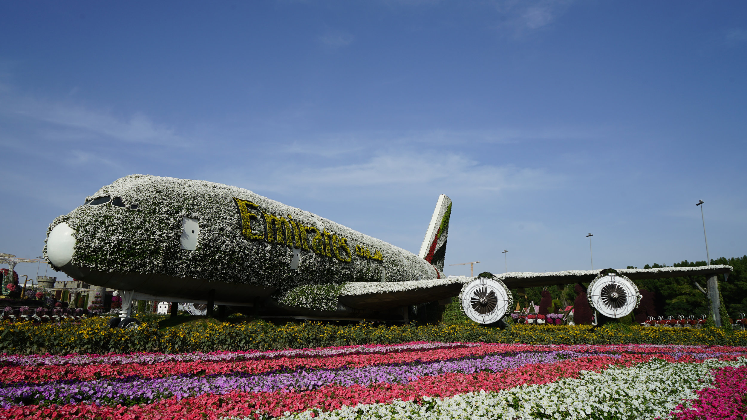 a large airplane made of flowers