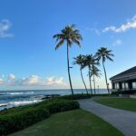 a building with palm trees and a beach