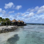 a beach with huts and palm trees