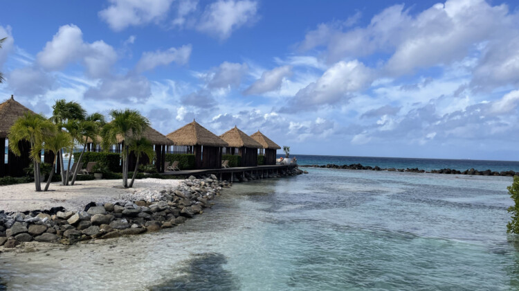 a beach with huts and palm trees