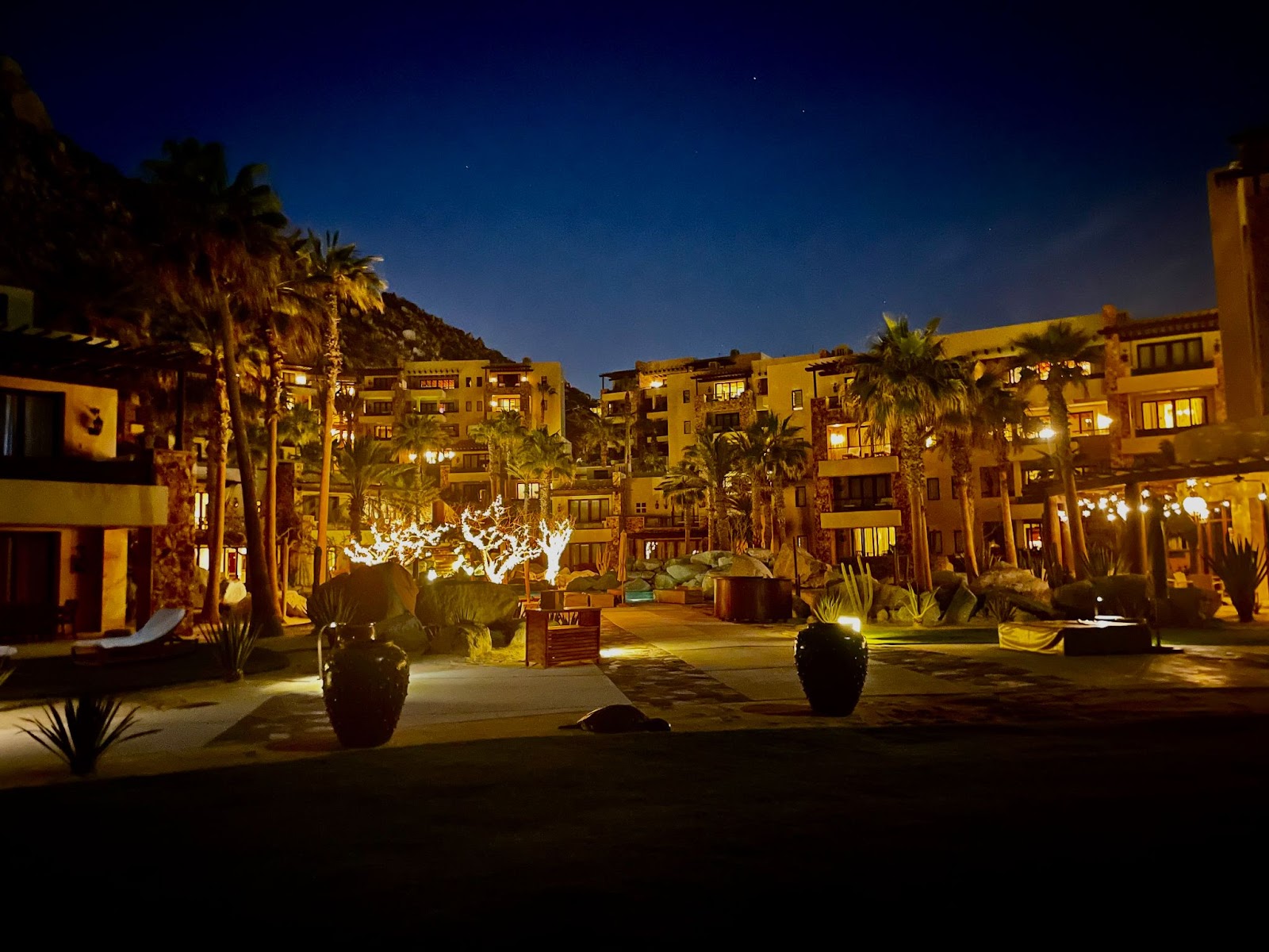 a courtyard with palm trees and lights at night
