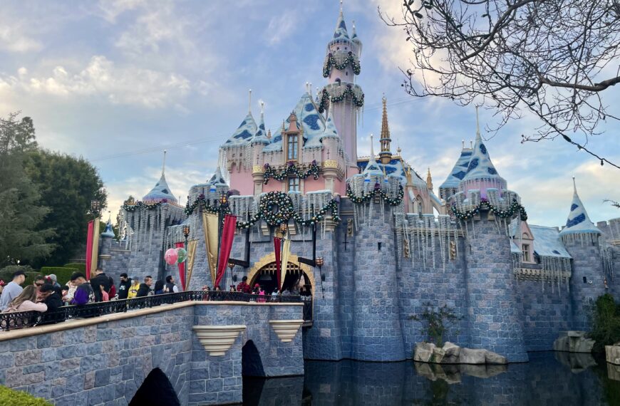 The Happiest Place on Earth: My One-Day Disneyland Experience