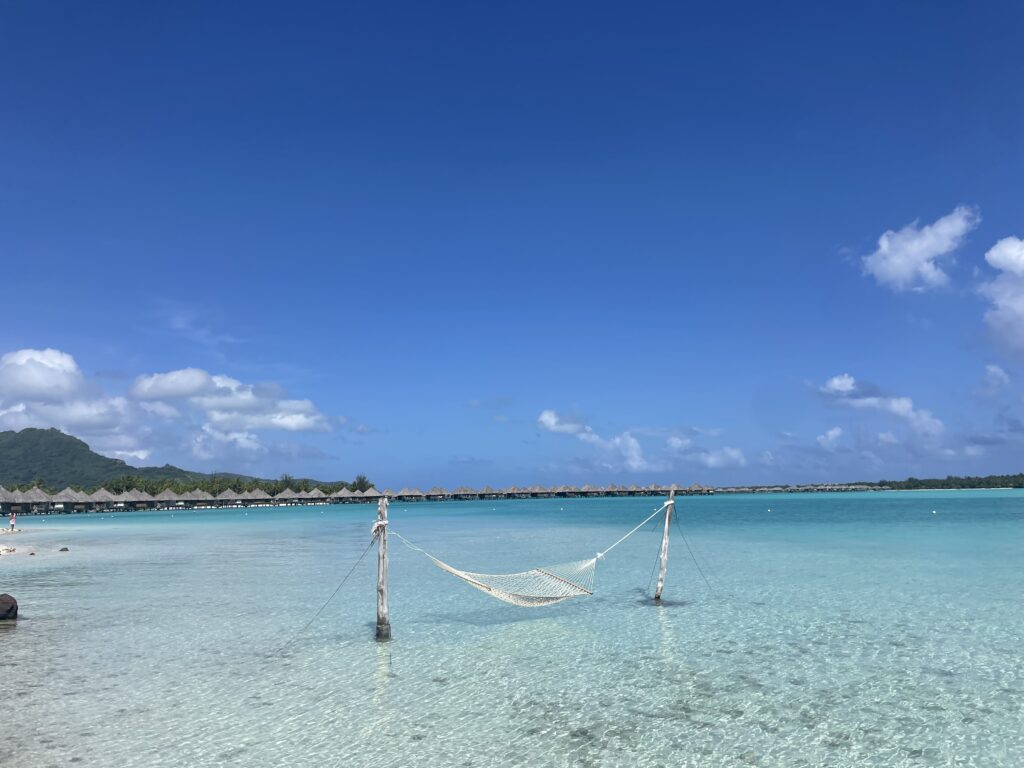 a hammock in the water