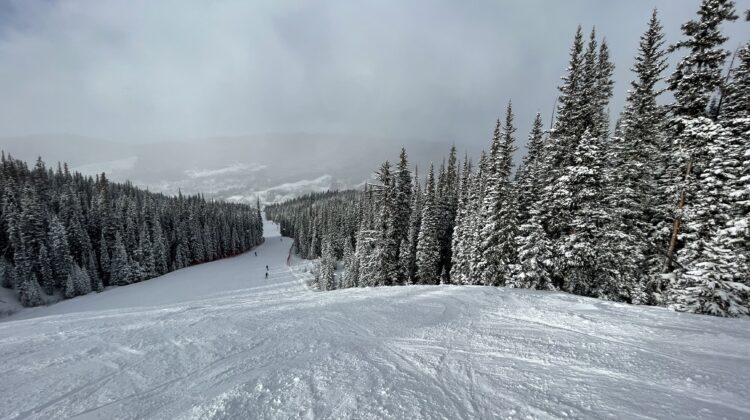 a snow covered slope with trees and a person skiing