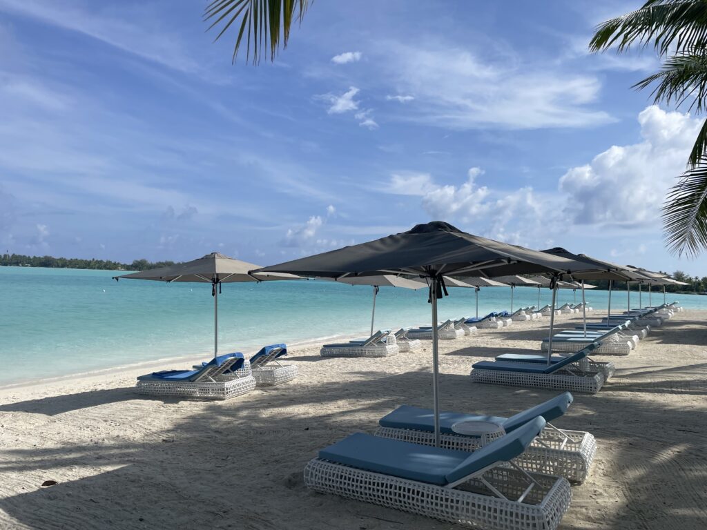 a beach with umbrellas and lounge chairs