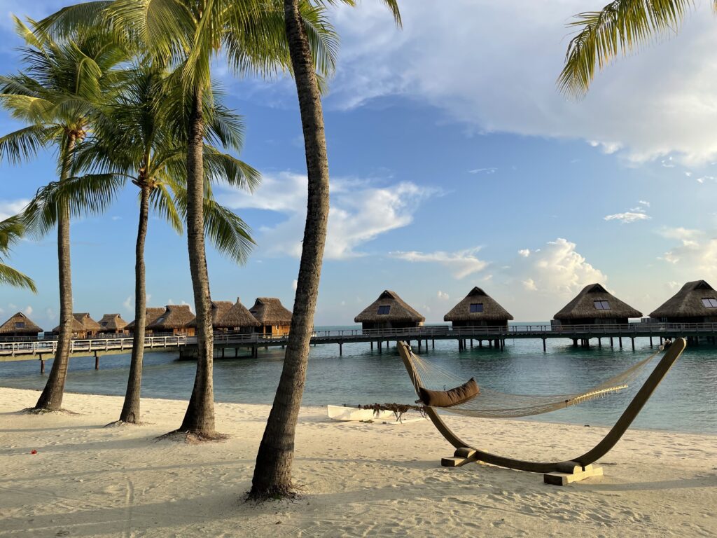 a hammock on a beach with palm trees and a dock