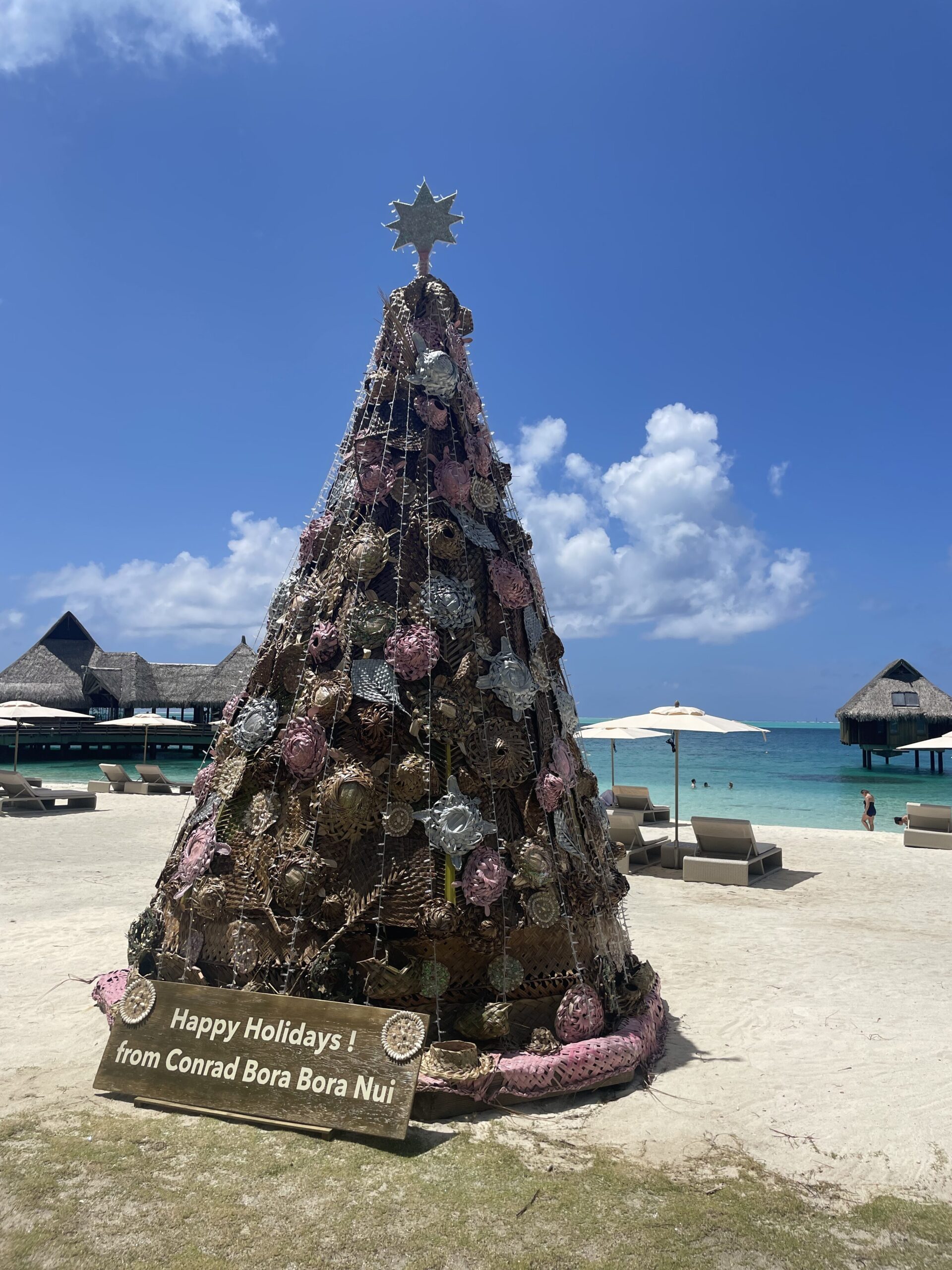 a christmas tree on a beach