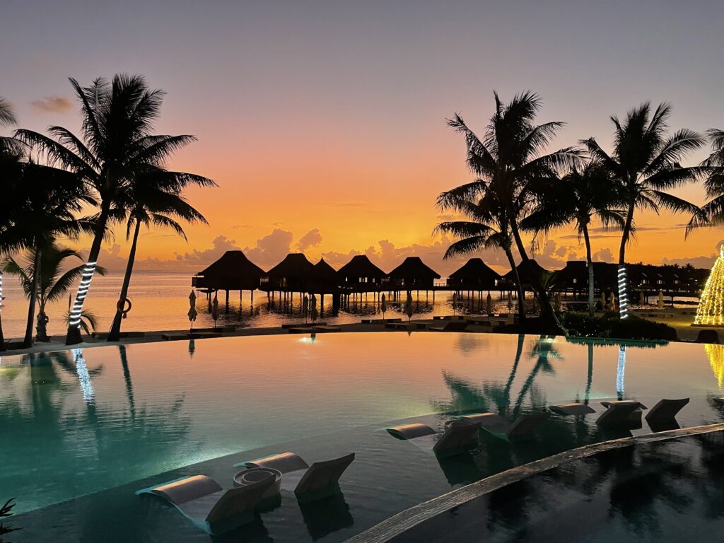 a pool with palm trees and a sunset