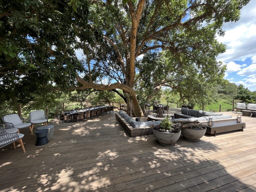 a deck with a tree and chairs