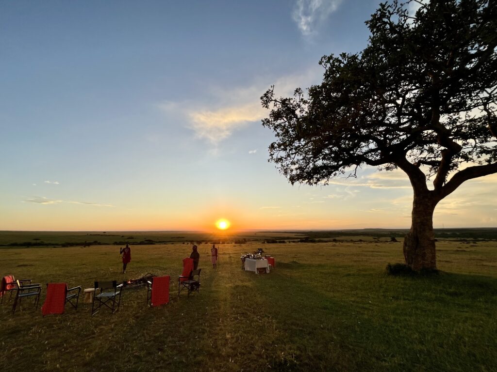 a group of people standing in a field with a tree and a sunset