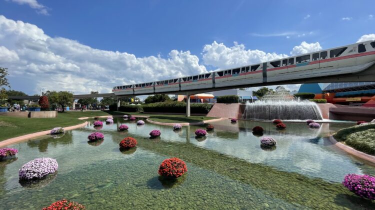 a train going over a pond with flowers